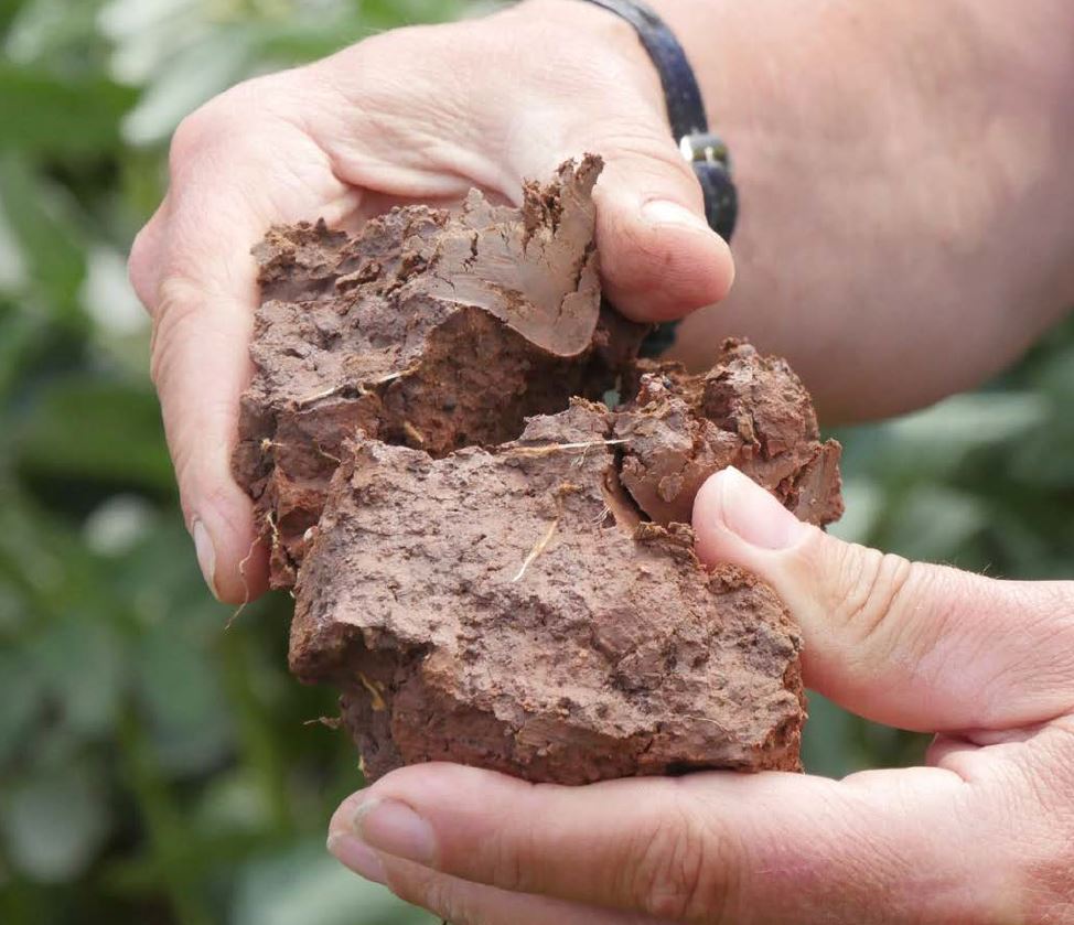 Breaking apart a clump of soil